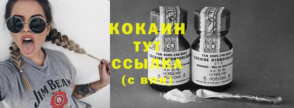 дмт Абаза