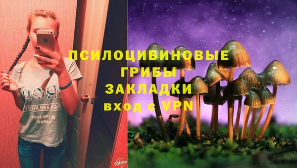 дмт Абаза
