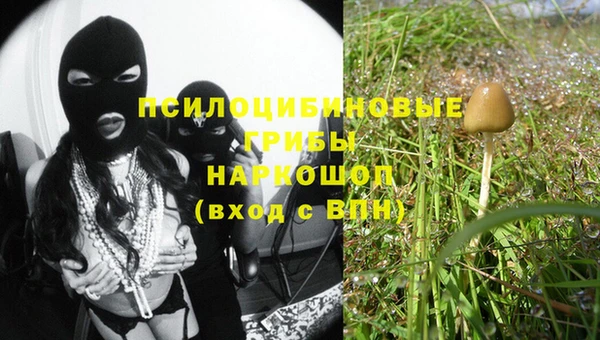 дмт Абаза