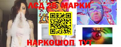 спайс Коммунар