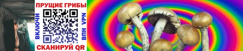 Псилоцибиновые грибы Magic Shrooms  купить  сайты  Кимовск 