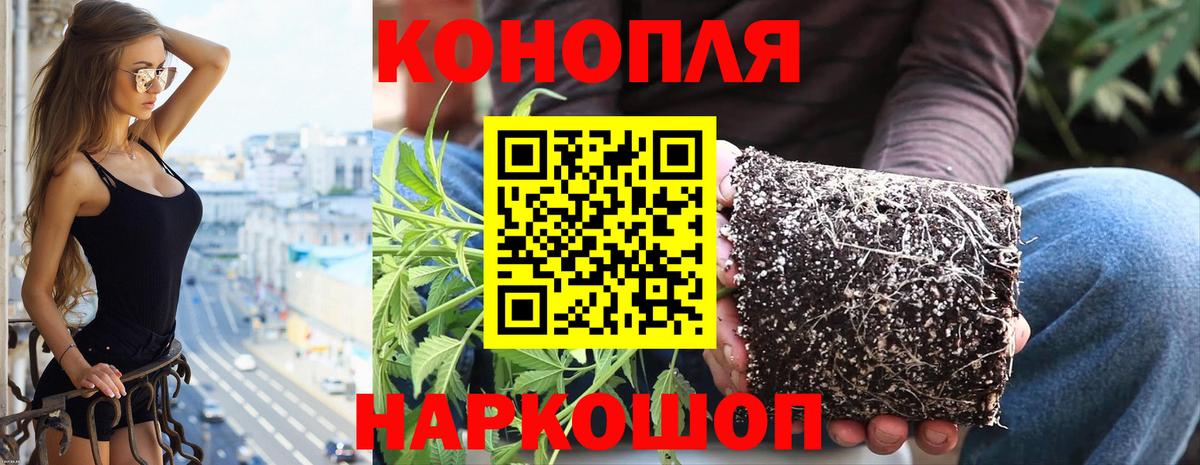 Канабис марихуана  Конопля AK-47  Вход с VPN  Марихуана семена  Кимовск 